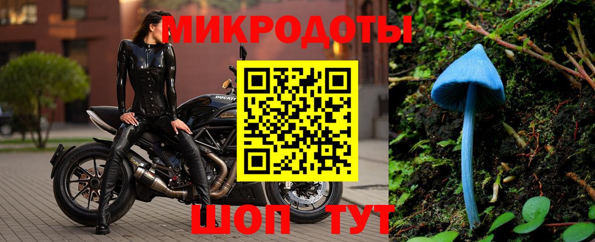 Галлюциногенные грибы Psilocybine cubensis Михайловка
