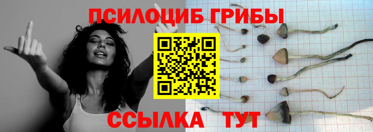 Михайловка  Галлюциногенные грибы мицелий  Вход с VPN 